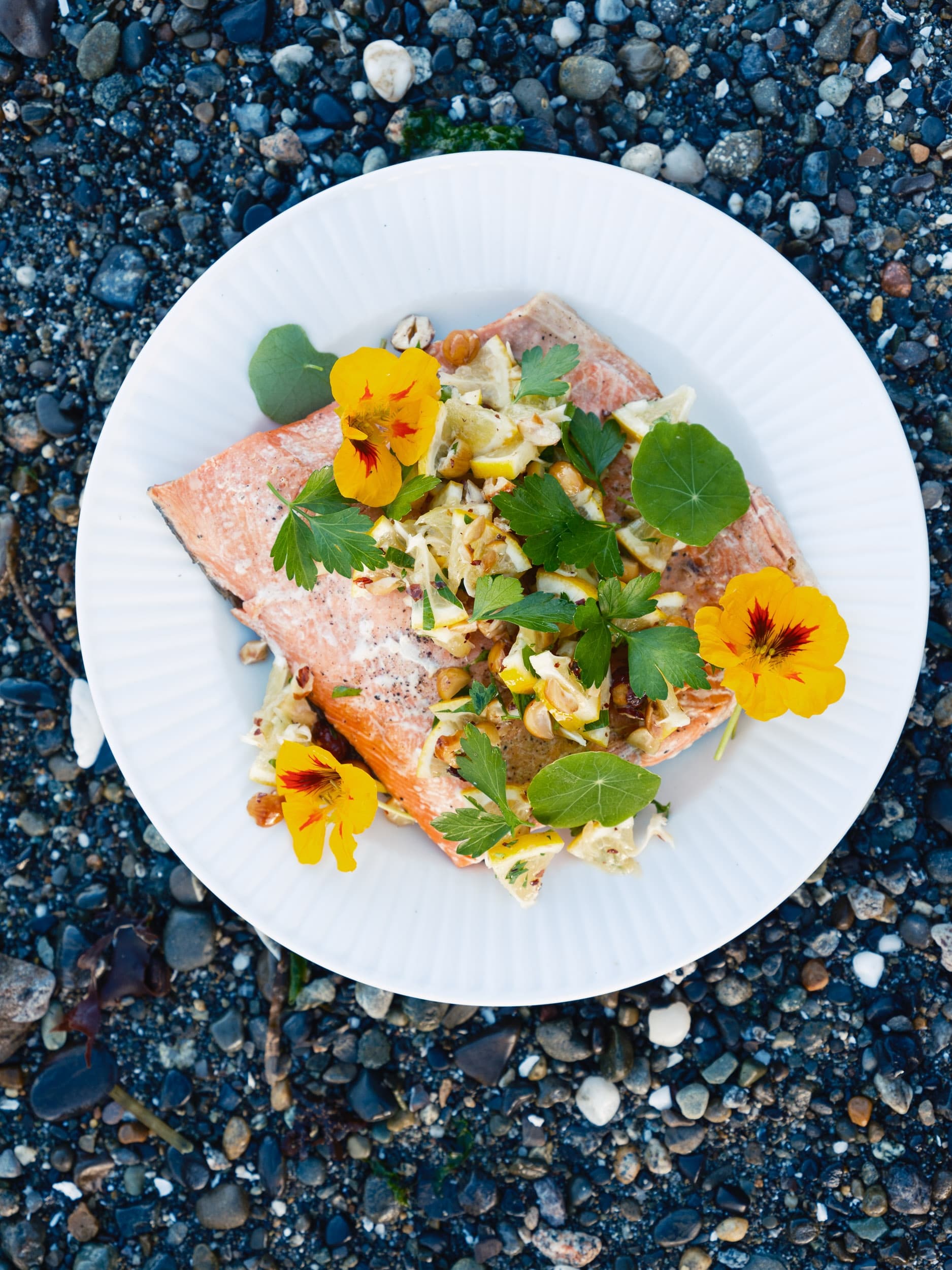 Wild Sockeye Salmon Case