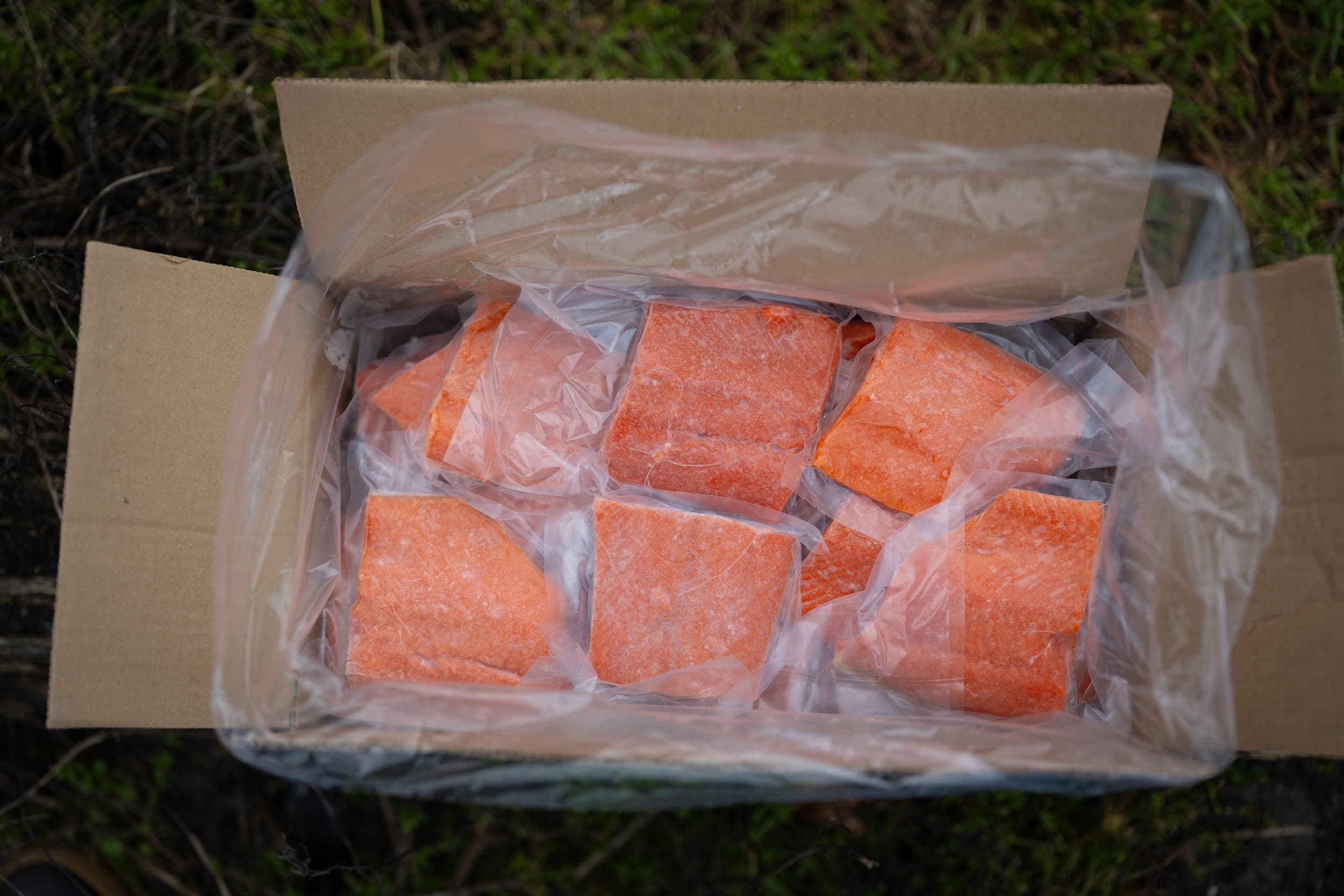 Wild Sockeye Salmon Case