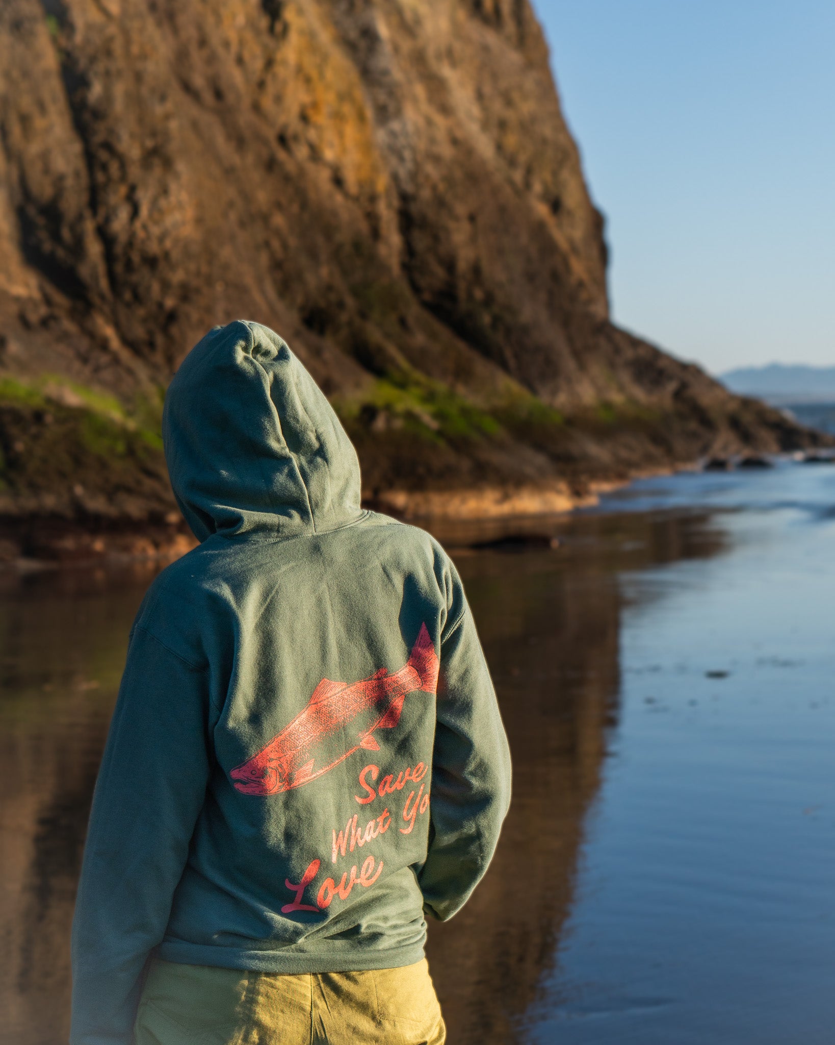 SAVE WHAT YOU LOVE HOODIE