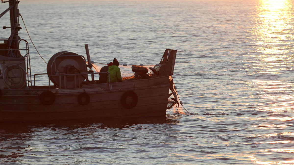 image of bow of salmon fishing boat