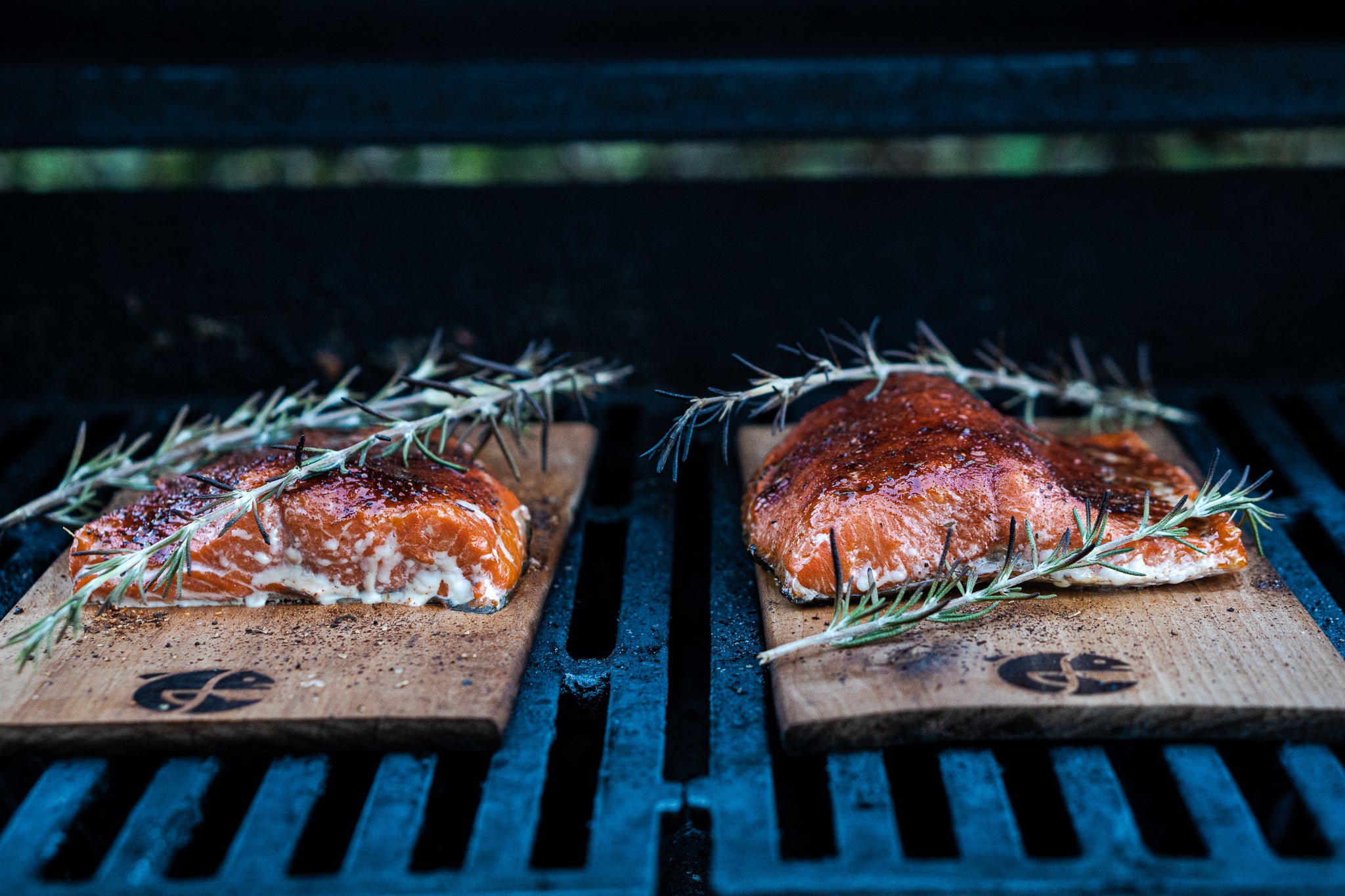 Close up image of salmon grilling on alder planks