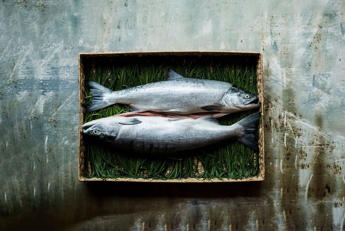 Wild Sockeye Home Delivery: Good for You and the Planet